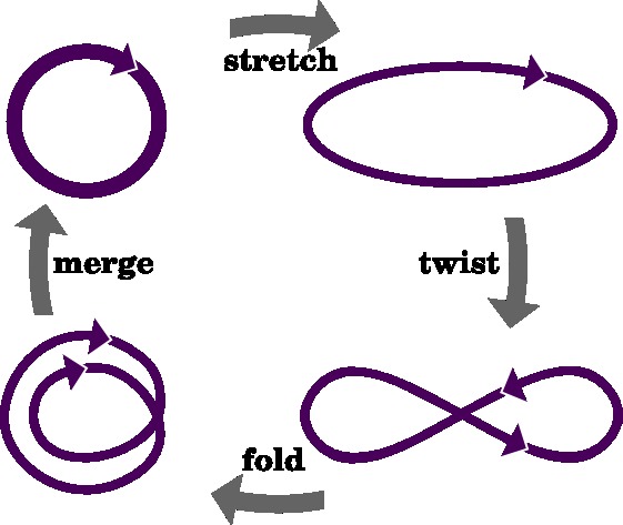 stretch twist fold